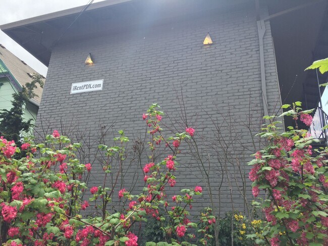 Foto del edificio - Upper corner unit 1 bed on Belmont, granite, hardwoods, off street parking!