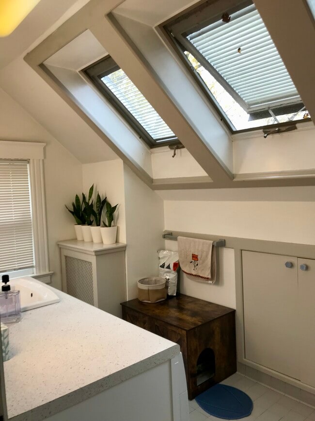 Foto del edificio - 81 Fern St