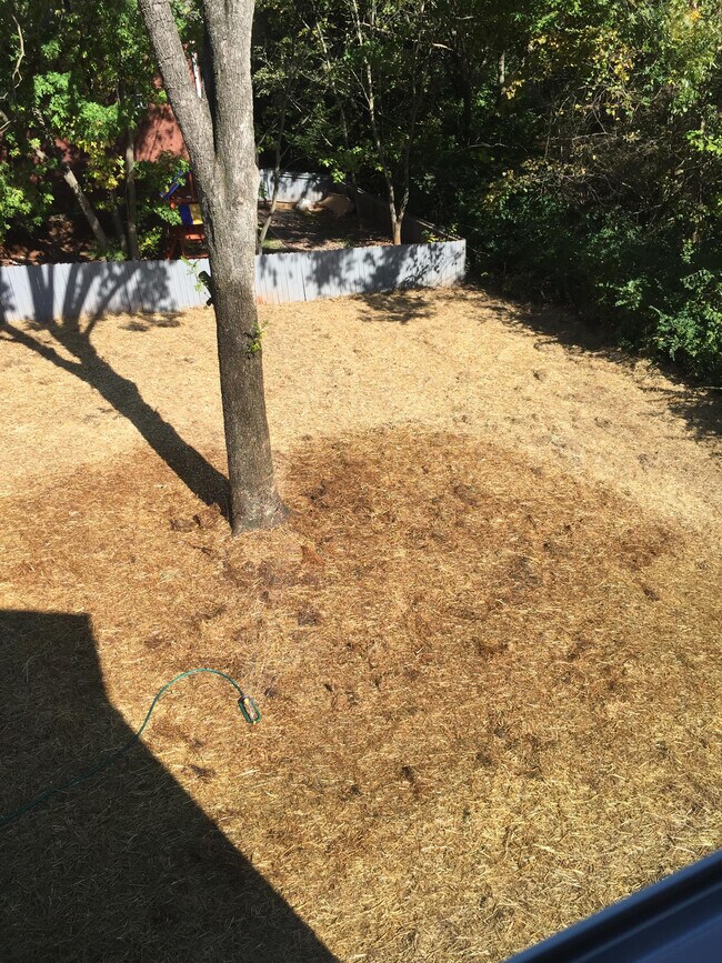 Foto del edificio - 608 Pearson Springs Rd