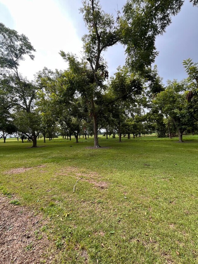 Foto del edificio - North Lowndes County Home