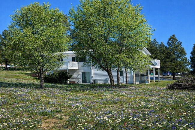 Vista trasera y lateral de la casa. - 1290 Starling Ln