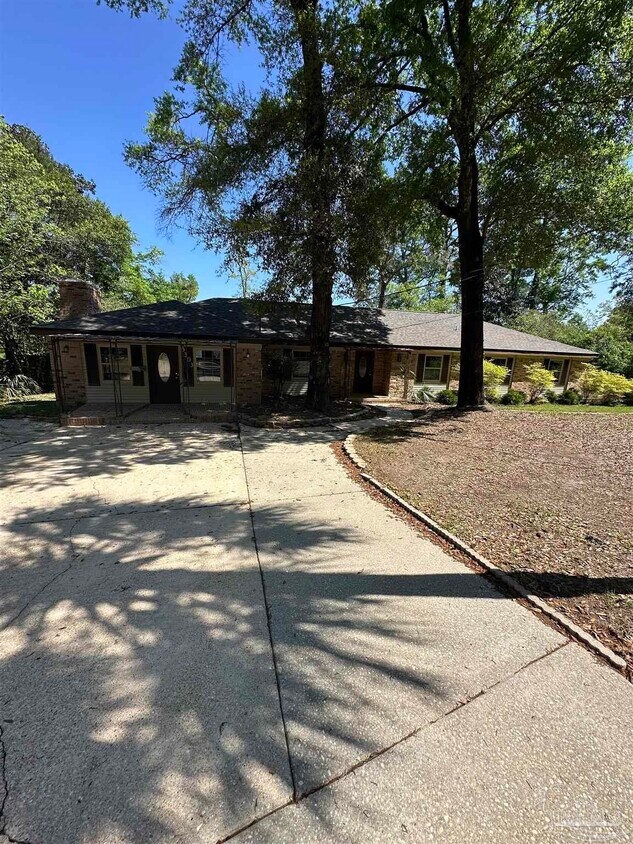Primary Photo - 5303 Mikes Pl
