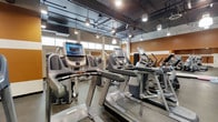 This fitness center offers a comprehensive cardio training environment outfitted with a robust selection of modern exercise equipment. Rows of treadmills, elliptical trainers, and stair climbers — each equipped with individual digital display screens — are arranged to maximize floor space and user accessibility. The facility features an industrial-style ceiling with exposed ductwork and piping, finished in dark tones that contrast with the warm, earthy accent walls below. Pendant lighting and overhead fixtures are distributed throughout to ensure consistent, bright illumination across the entire floor. A row of clerestory windows along the upper perimeter of the walls allows natural light to supplement the artificial lighting, contributing to an open and energizing atmosphere. Mirrored wall panels enhance the sense of depth and space while allowing users to monitor their form during workouts. The polished concrete flooring provides a durable, easy-to-maintain surface suited to high-traffic use. Overall, the space is designed with both functionality and user experience in mind, creating a motivating environment for cardio-focused fitness training.