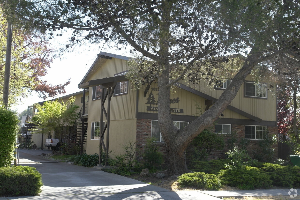 Primary Photo - The Pines Apartments