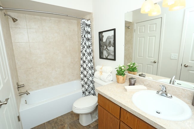 Interior Photo - The Trilogy Apartments