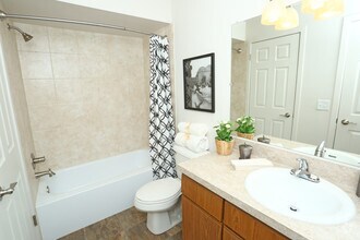 Interior Photo - The Trilogy Apartments