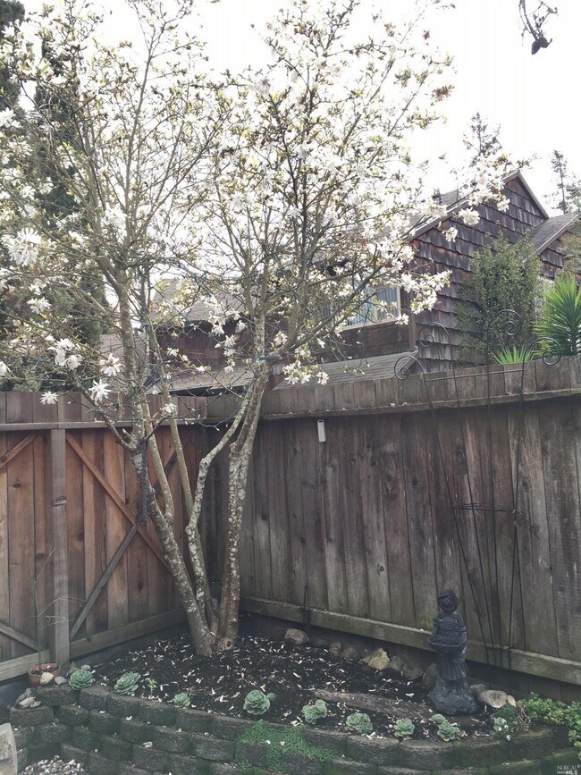 8016 Sunflower Dr, Cotati, CA 94931 Condo for Rent in Cotati, CA