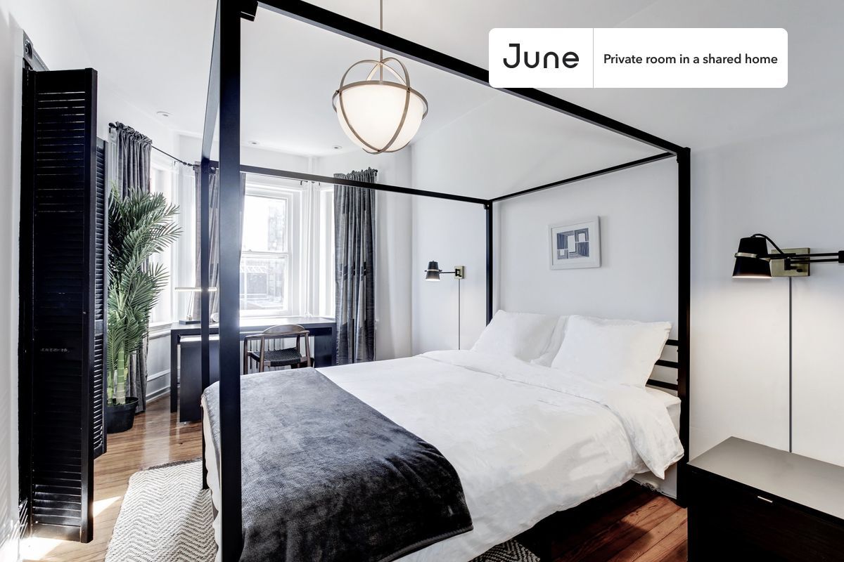 Private bedroom in 4 bed/1.5 bath Home - Private bedroom in 4 bed/1.5 bath Home