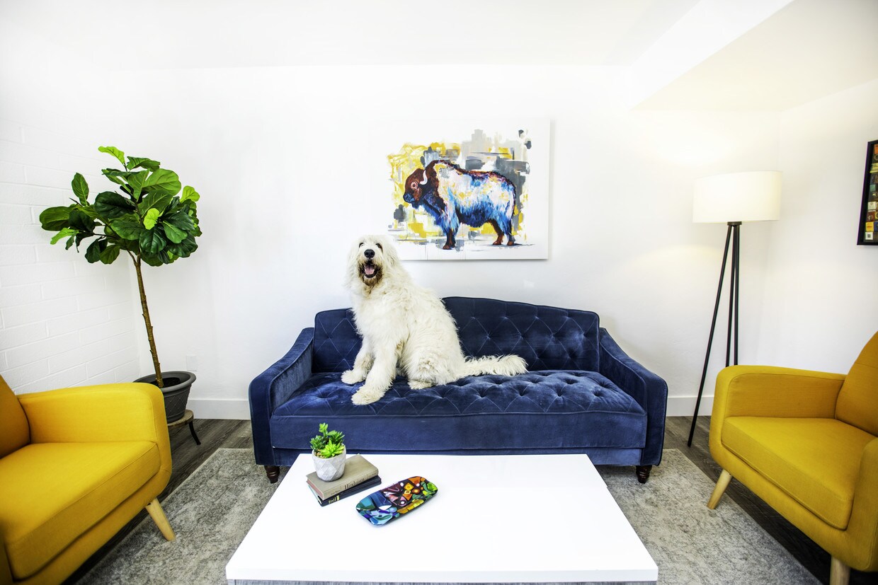 Equinox On Prince Apartments Tucson Az Apartments Com