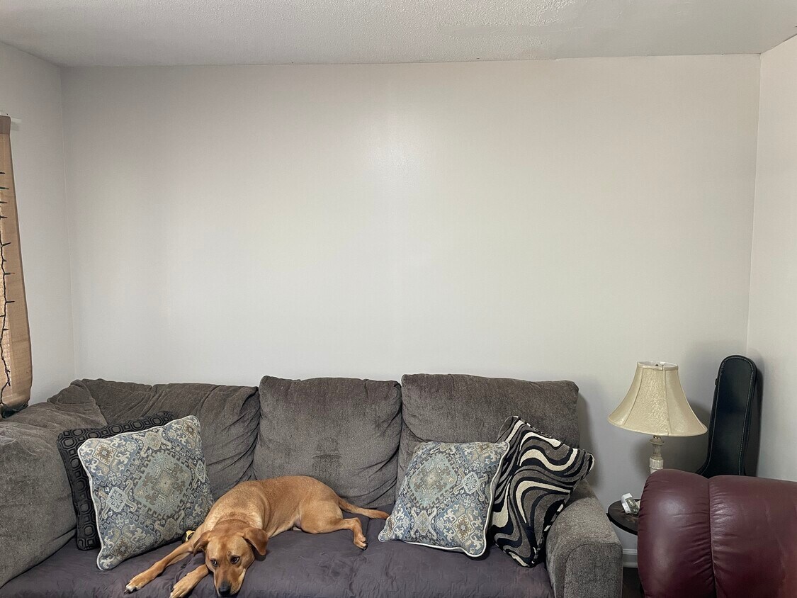 Foto principal - 820 Matthews St