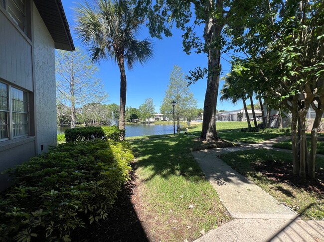 Foto del edificio - 51 Windtree Ln