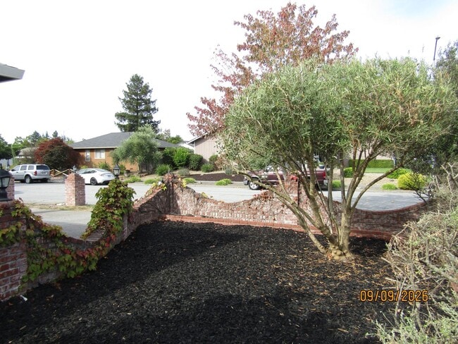 Building Photo - 2354 Pinercrest Dr
