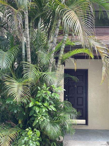 Foto del edificio - 3733 Carambola Cir N