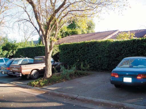 Building Photo - 2449 Elendil Ln