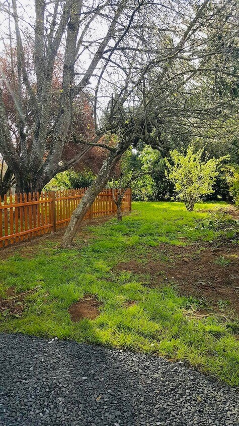 Backyard - 13510 SW Ash Ave