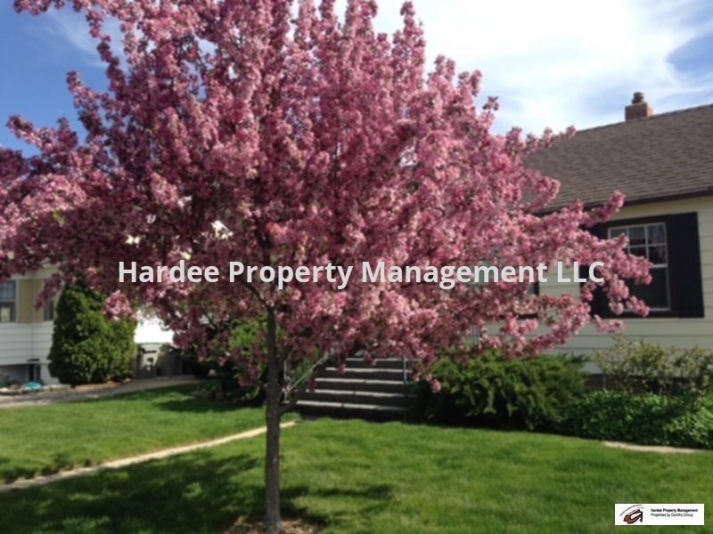 Primary Photo - 4105 Cassia St
