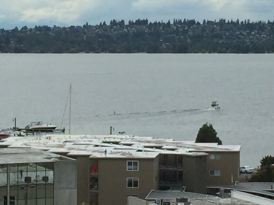 Lkae Washington view rom most rooms. - 109 2nd St S