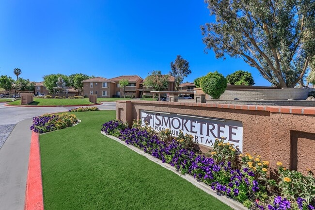 Building Photo - Smoketree
