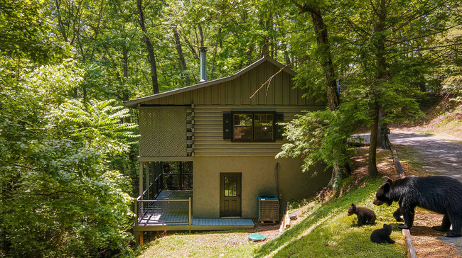 Building Photo - 1727 Oakridge View Ln
