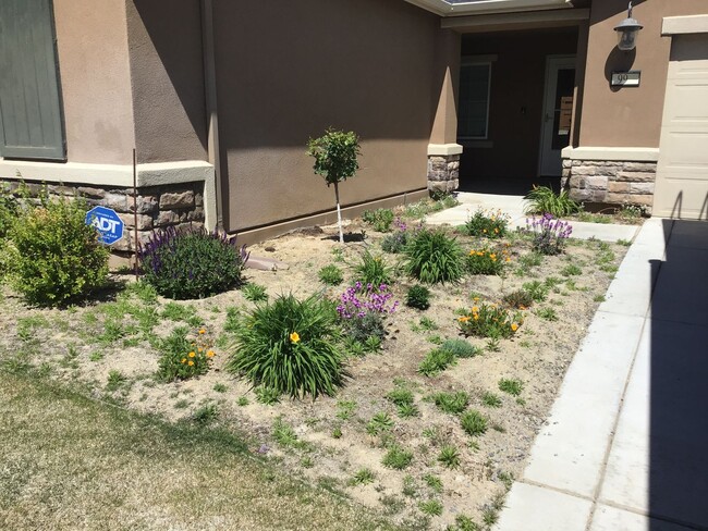Foto del edificio - Beautiful 1 Bedroom 1 Bath Home With Al...