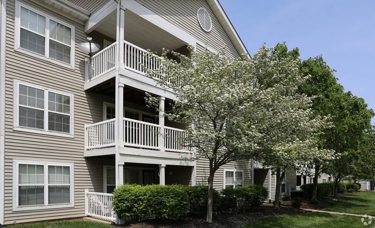 Primary Photo - Trails of Saddlebrook