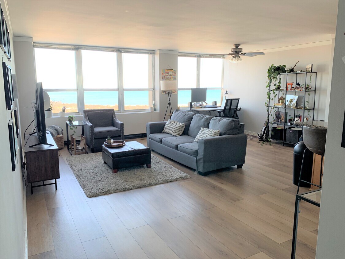 Living Room - 655 W Irving Park Rd