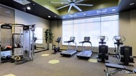 This fitness center offers a well-appointed workout environment defined by a clean, contemporary aesthetic. A wall of large floor-to-ceiling windows floods the space with natural light and provides open views of the surrounding area, creating an airy, motivating atmosphere. The ceiling features a bold dark accent with recessed lighting and a large industrial-style ceiling fan, ensuring proper ventilation and comfort during workouts. The cardio equipment lineup includes multiple treadmills and an elliptical machine, each equipped with individual digital display screens. A stationary spin bike rounds out the cardio offerings. On the opposite wall, a full-length mirror expands the sense of space and allows users to monitor their form, accompanied by a cable resistance machine for strength training. Decorative hexagonal floor decals accent the patterned carpet, adding a modern touch to the design. A potted indoor plant introduces a natural element, softening the space. The overall layout is thoughtfully organized to allow ease of movement between equipment, making this fitness center a functional and visually appealing amenity.