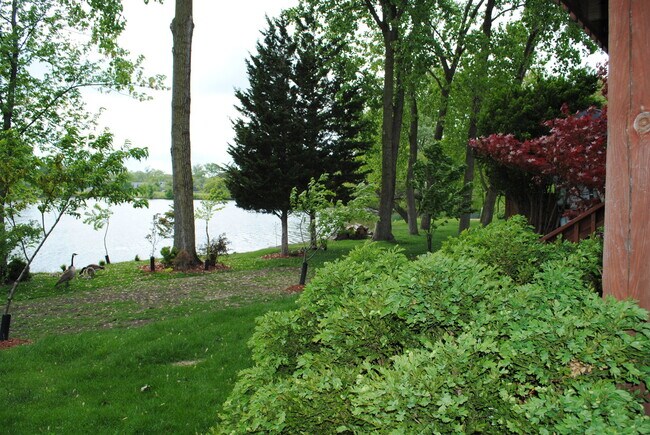 Foto del edificio - 2559 Brunswick Cir