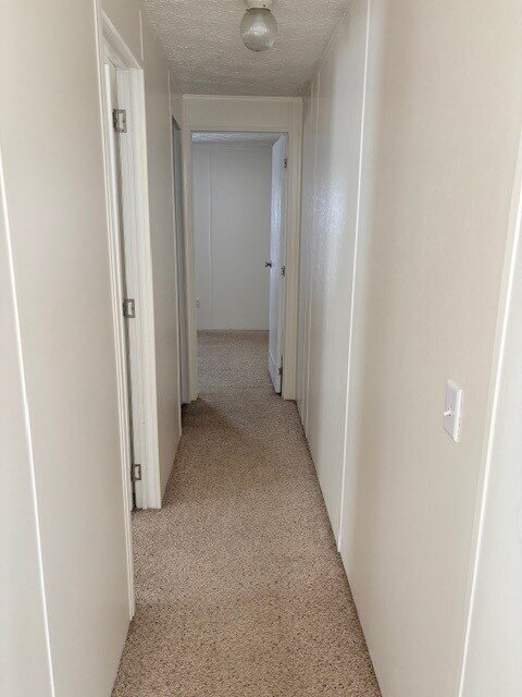 Building Photo - Mobile Home for Rent in Pikeville! 3 BR | 2BA w/ Lawn Care Included!