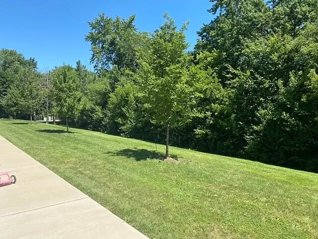 Foto del edificio - 105 E Lincoln St