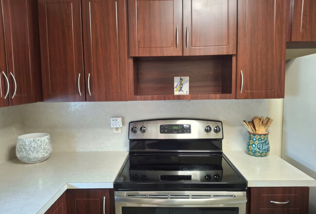 Stove - 1600 Tallwood Ave