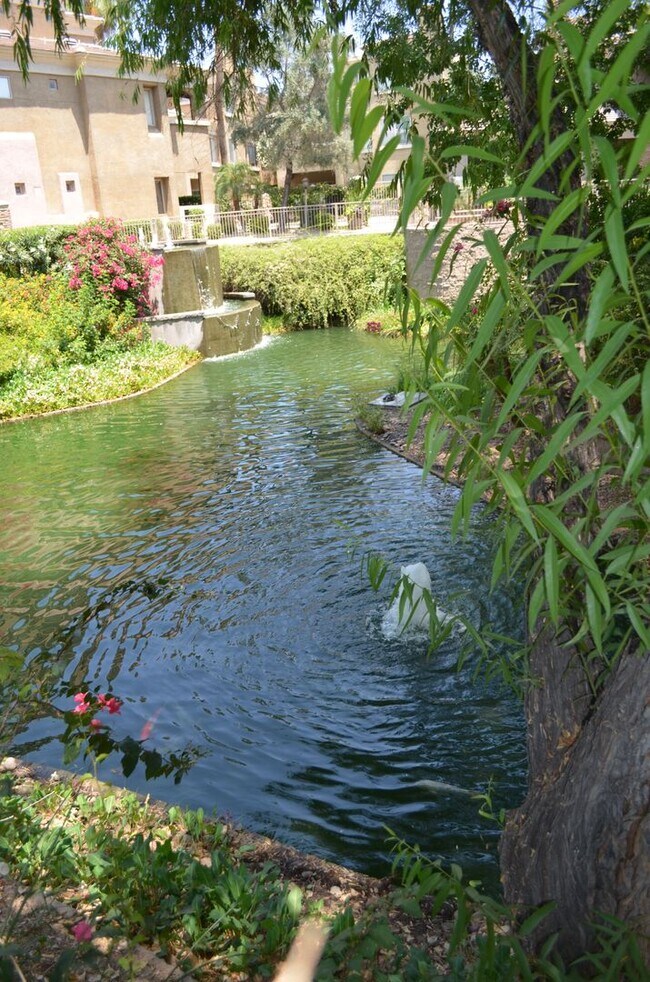 Foto del edificio - Biltmore 2 bedroom, 2 bath!