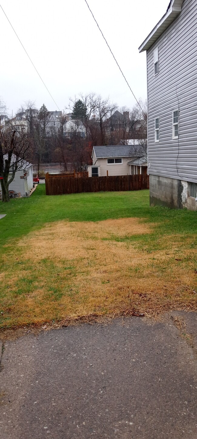 side yard - 108 S Depot St