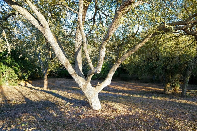 Foto del edificio - 10201 Shane Dr