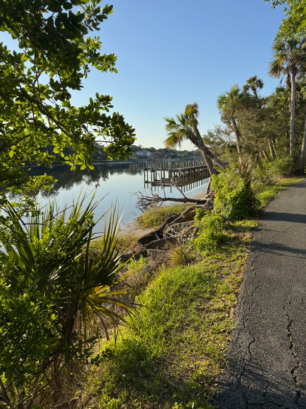 Building Photo - 100 Palm Harbor Pkwy
