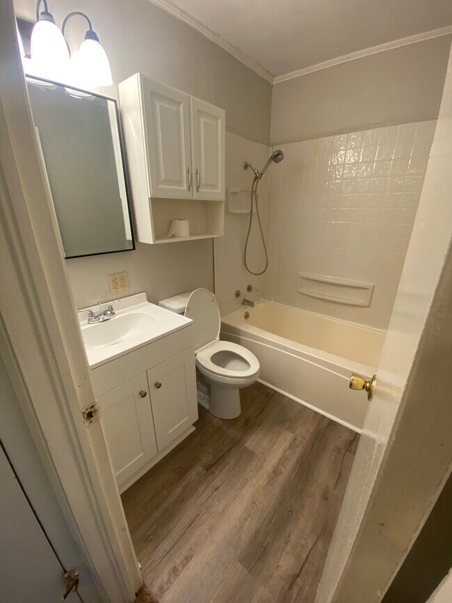 updated bathroom - 417 Lakeview Dr