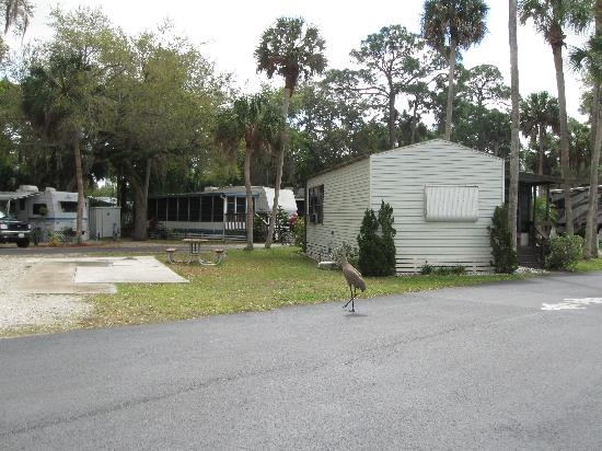 Primary Photo - Space Coast RV Resort