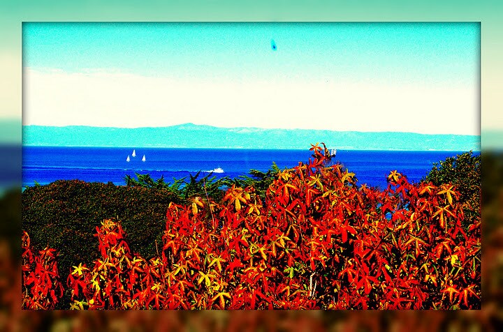 Ocean View - 137 4th St