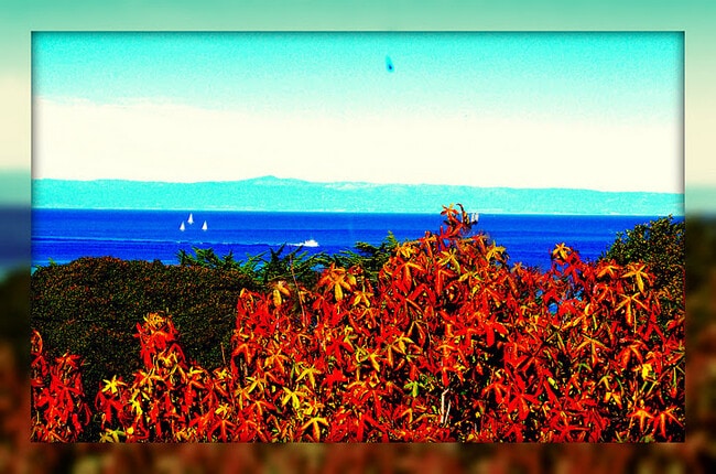 Building Photo - 137 4th St