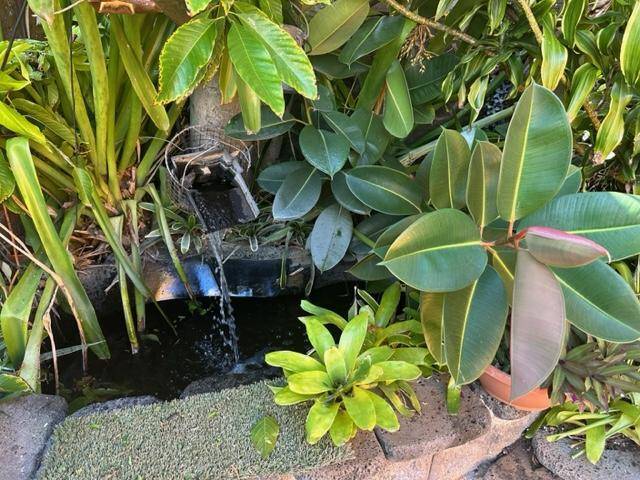 Foto del edificio - 4448 Sierra Dr