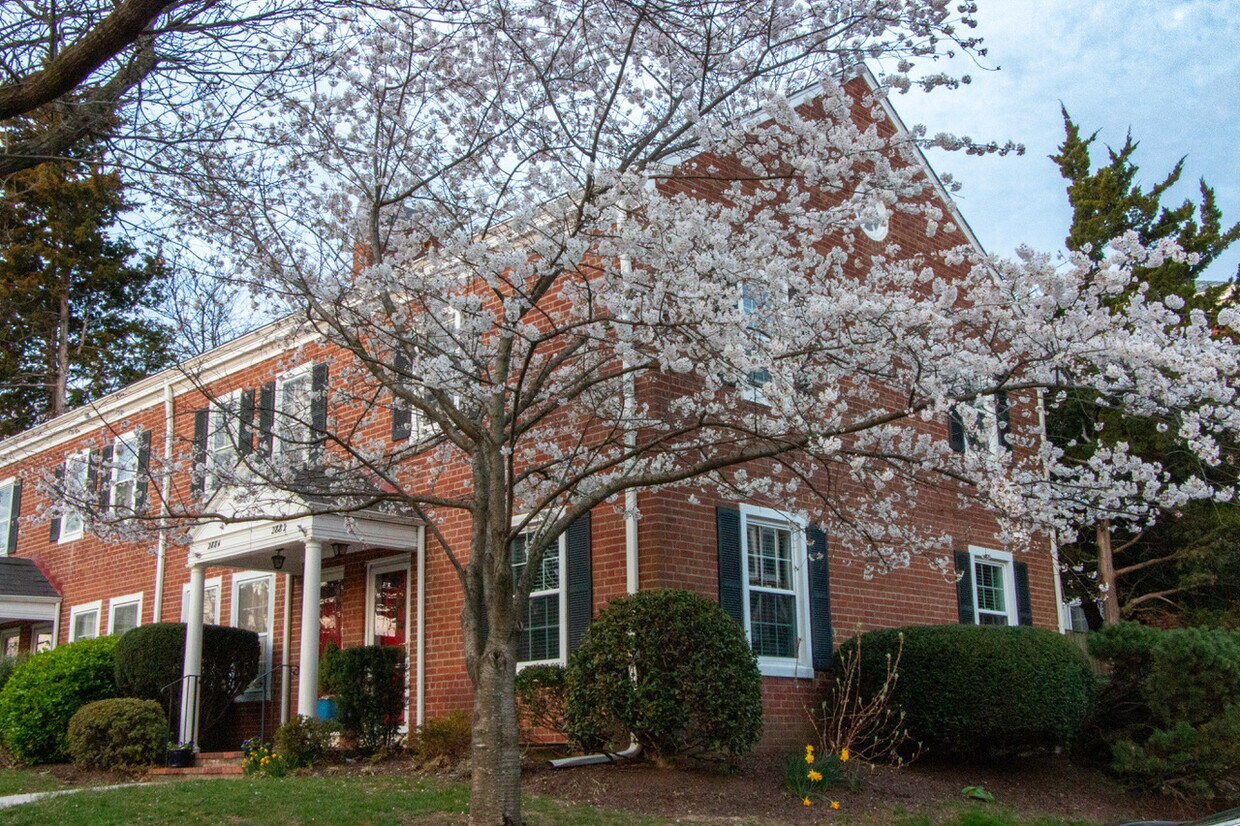 Primary Photo - 2882 S Abingdon St