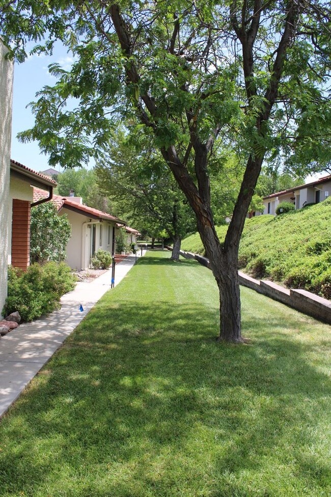 Foto del edificio - 439 Foxfire Ln