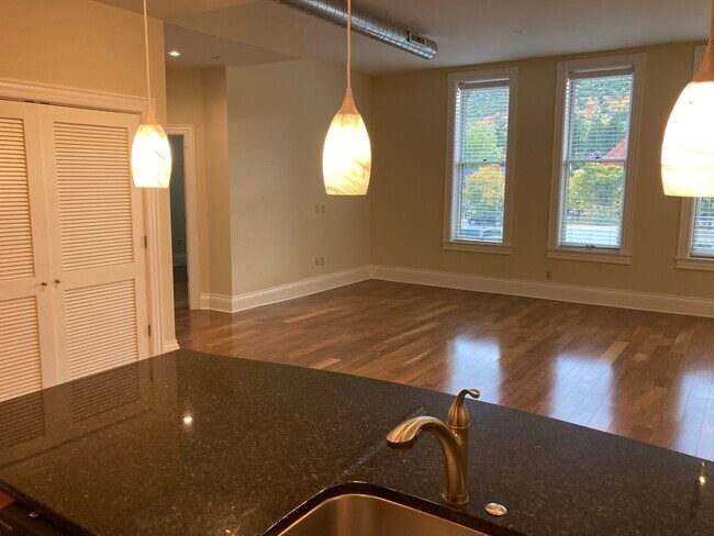 Kitchen looks into living area - 54 E Market St