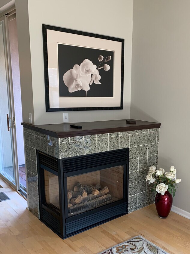 4th floor gas fireplace - 645 N 1st St