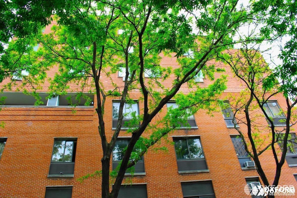 Foto principal - 270 West 22nd Street
