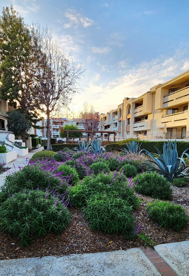 Foto del edificio - 21650 Burbank Blvd