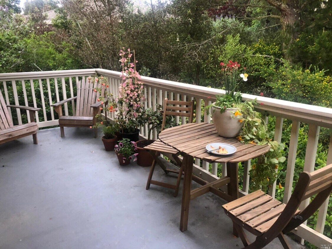 9 Andrew Dr, Tiburon, CA 94920 Condo for Rent in Tiburon, CA
