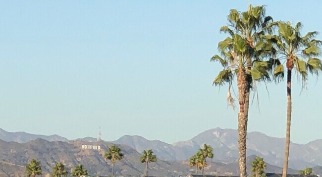 View from the unit of Hollywood Sign & Hills - 1115 S Elm Dr