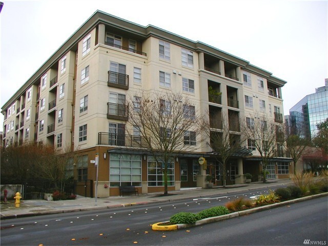 Primary Photo - Cozy Studio in Downtown Bellevue