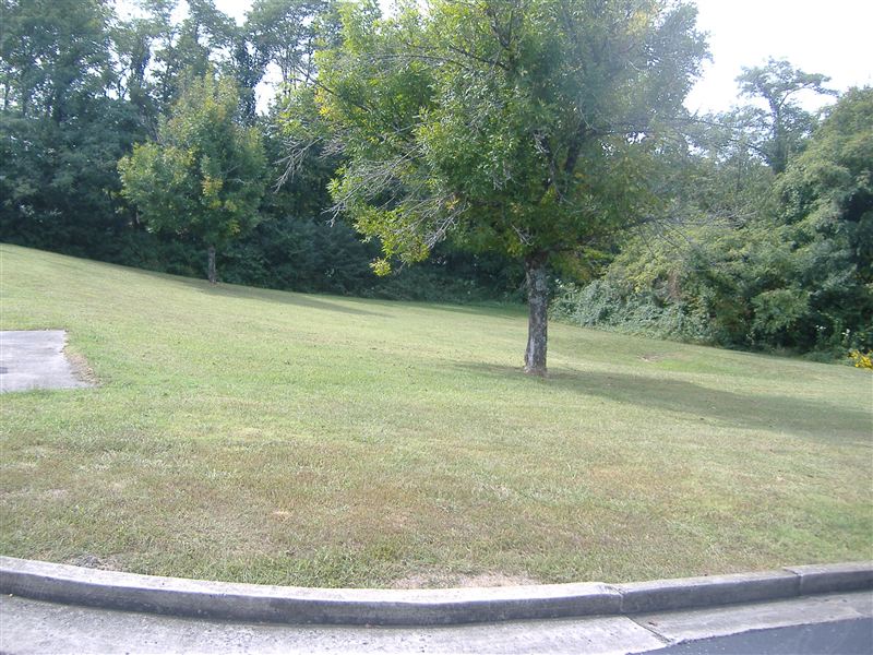 Building Photo - 1008 Columbia Ave